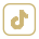 tiktokicon